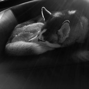 Meet your Posher, Jaime